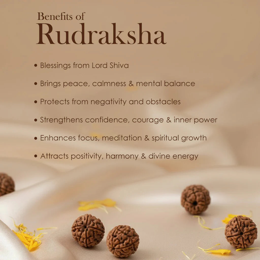 5 Mukhi Rudraksha Mala Vaidikam Products Pvt Ltd